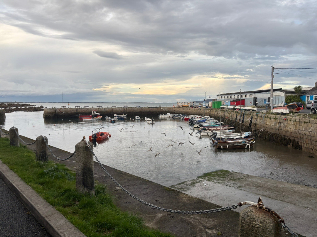 Bulloch Harbour-达尔基必去景点