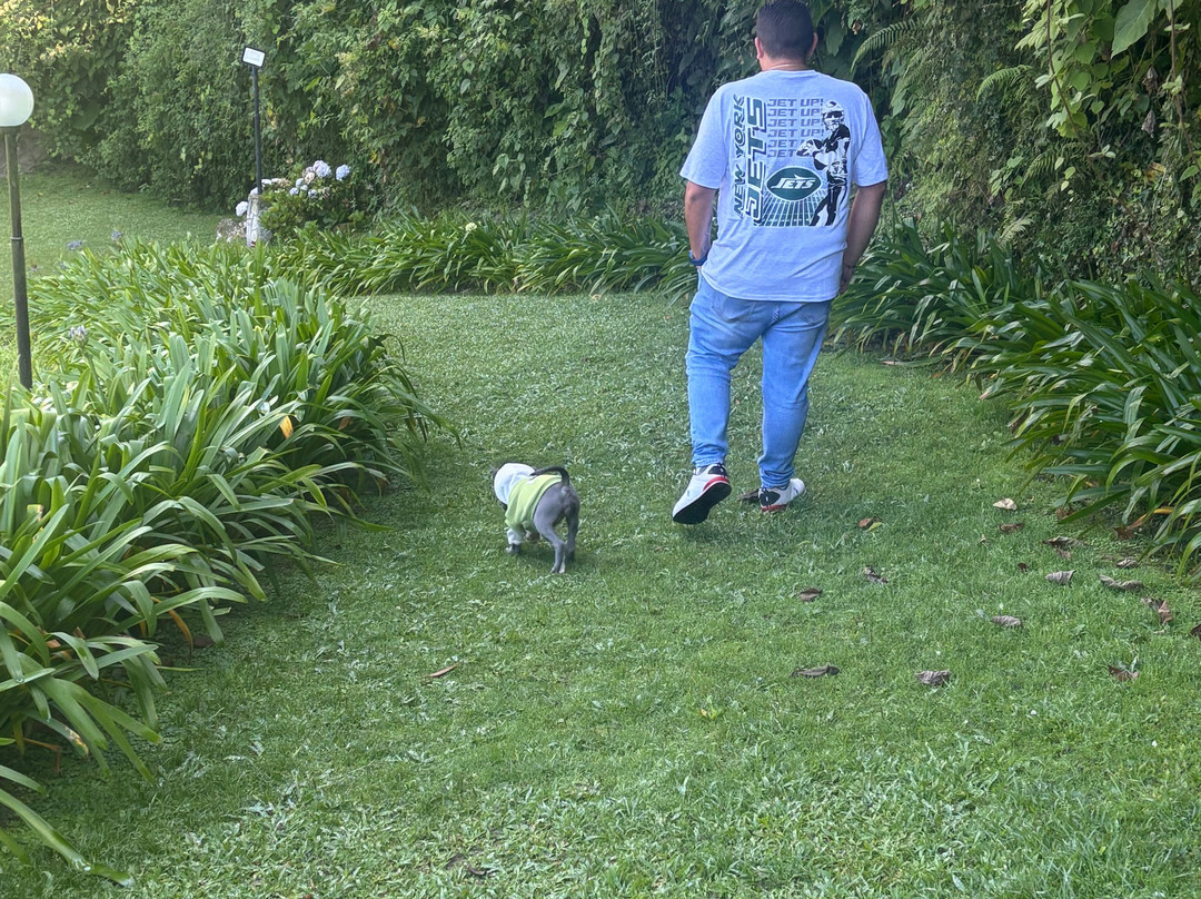 Posada Don Elicio主图