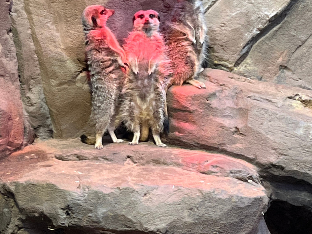 St Andrews Aquarium-圣安德鲁斯必去景点