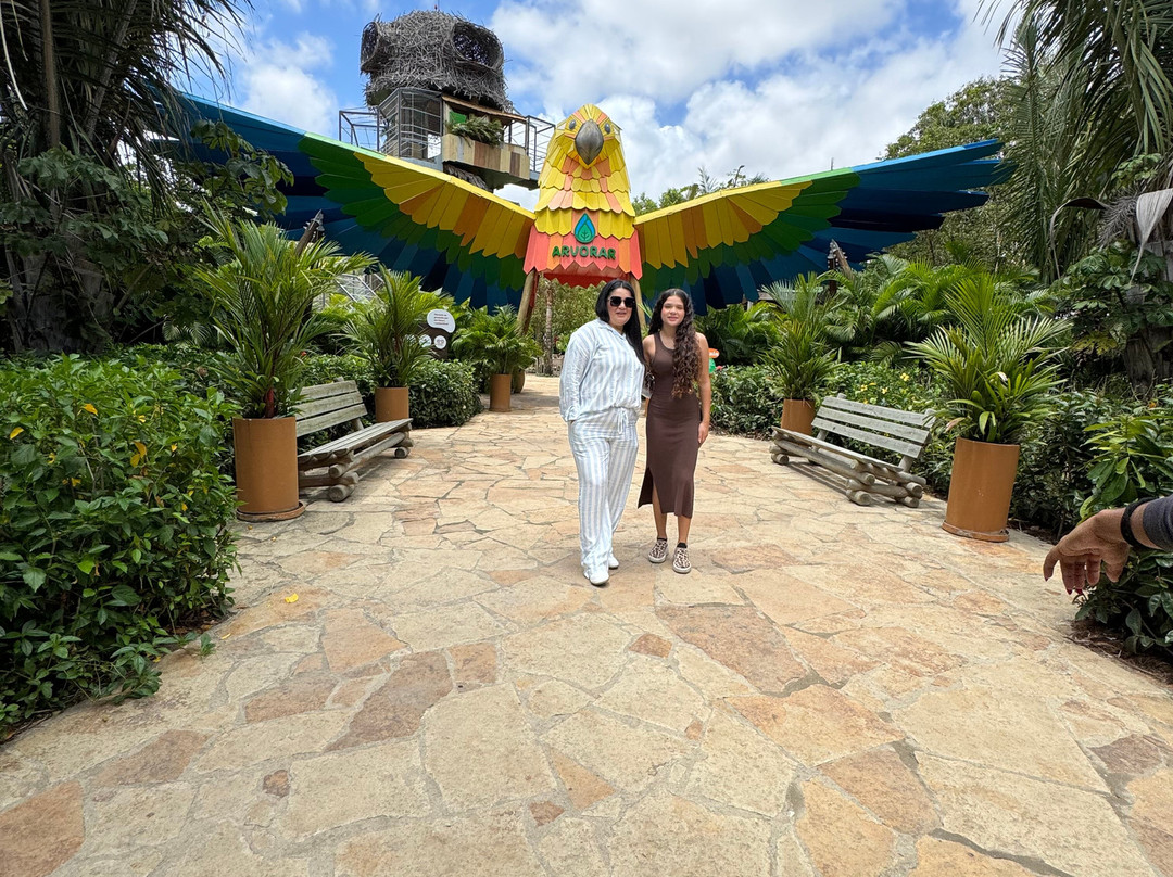 Parque Arvorar-Aquiraz必去景点