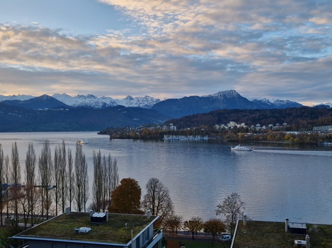 Hotel Royal Lucerne主图