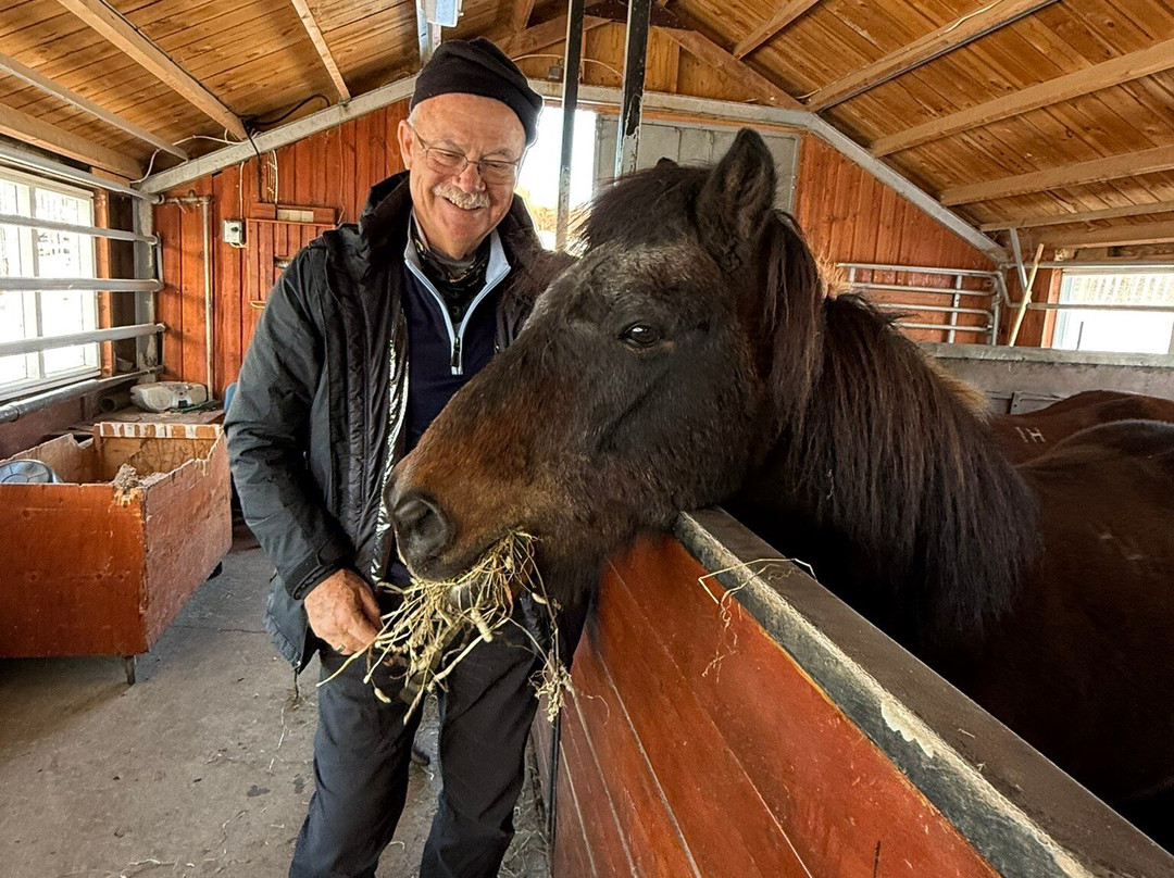 Sturlureykir Horses/Visiting HorseFarm-Reykholt必去景点