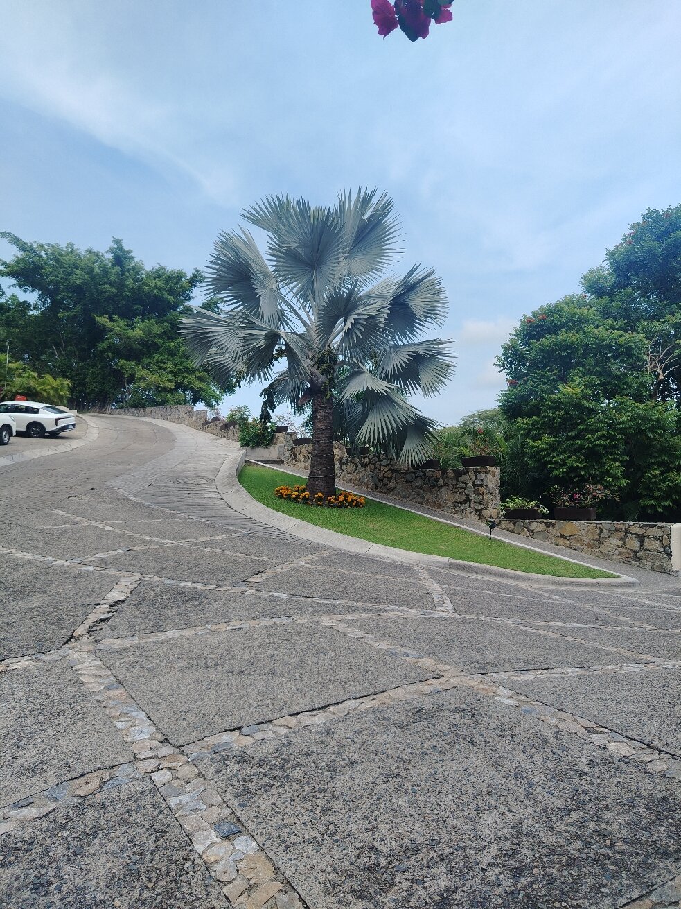 Pacifica Resort Ixtapa-官方