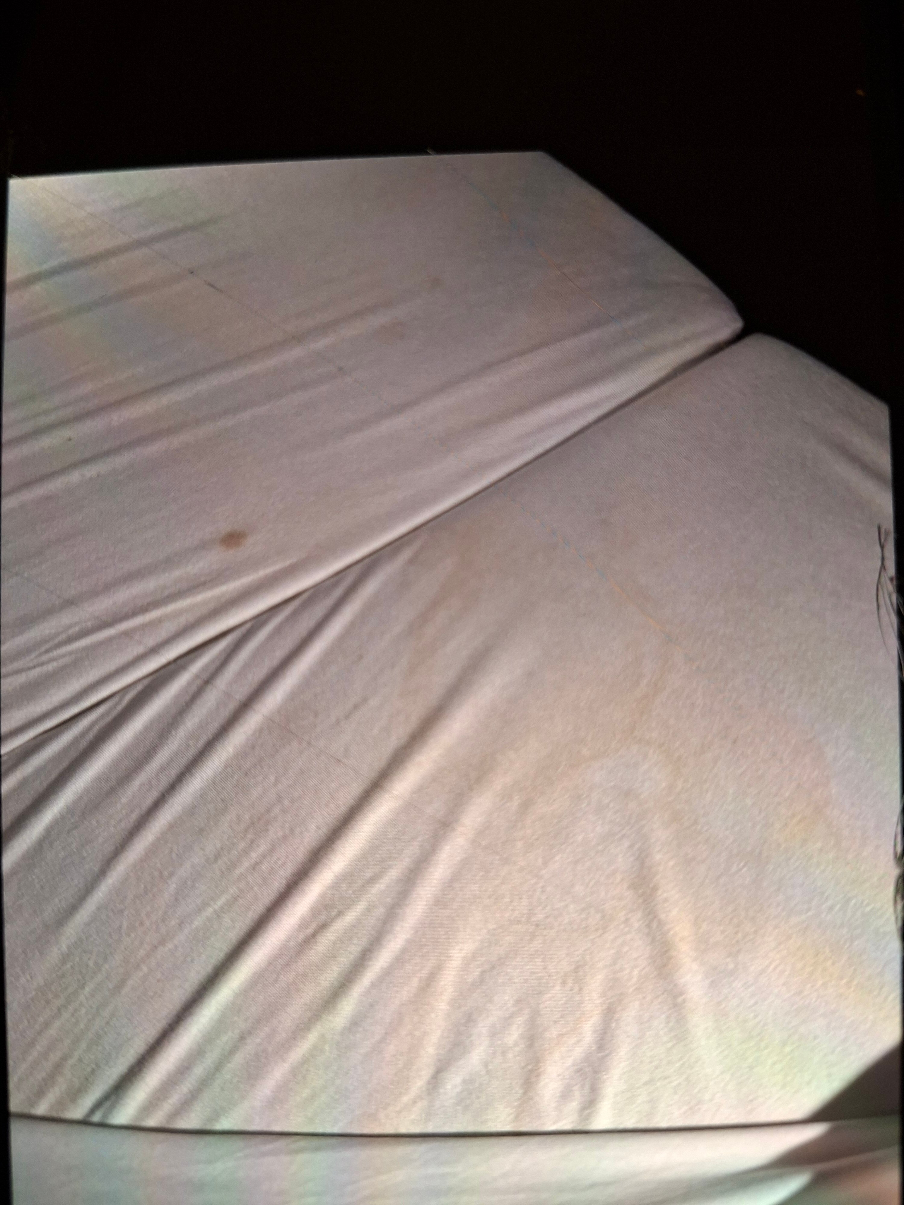 Aiden By Best Western Stadtgut Hotel Steyr-客卧