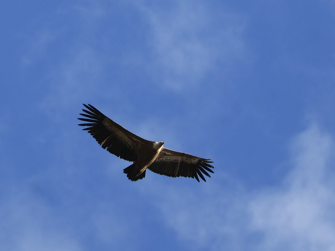 Academia Pradoventura-Prado del Rey必去景点