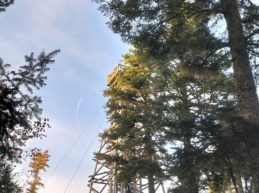 Observatoire de Merelle-热拉尔德梅必去景点