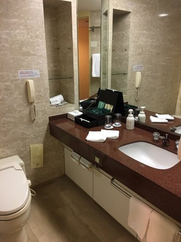 RIHGA Royal Hotel Osaka, Vignette Collection主图