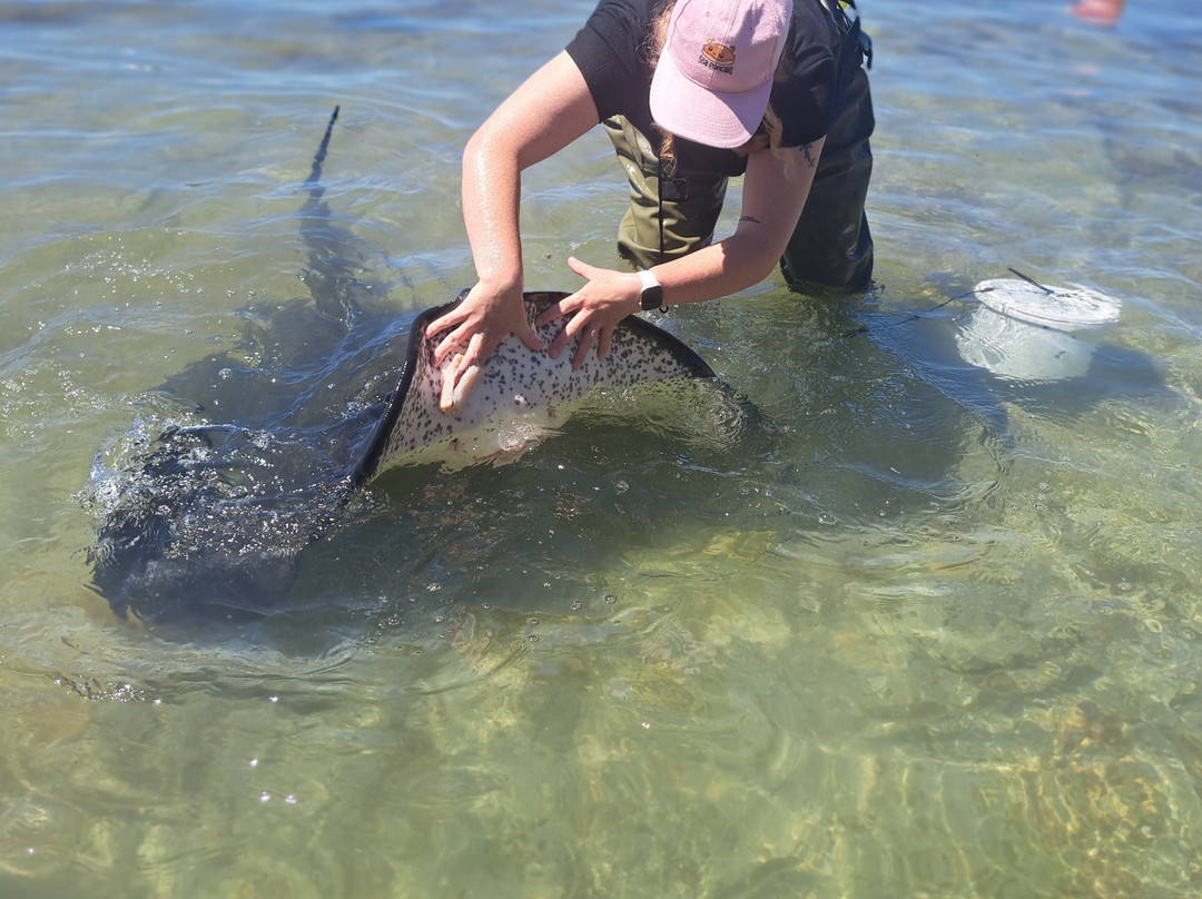 Dive Tatapouri-Gisborne Region必去景点