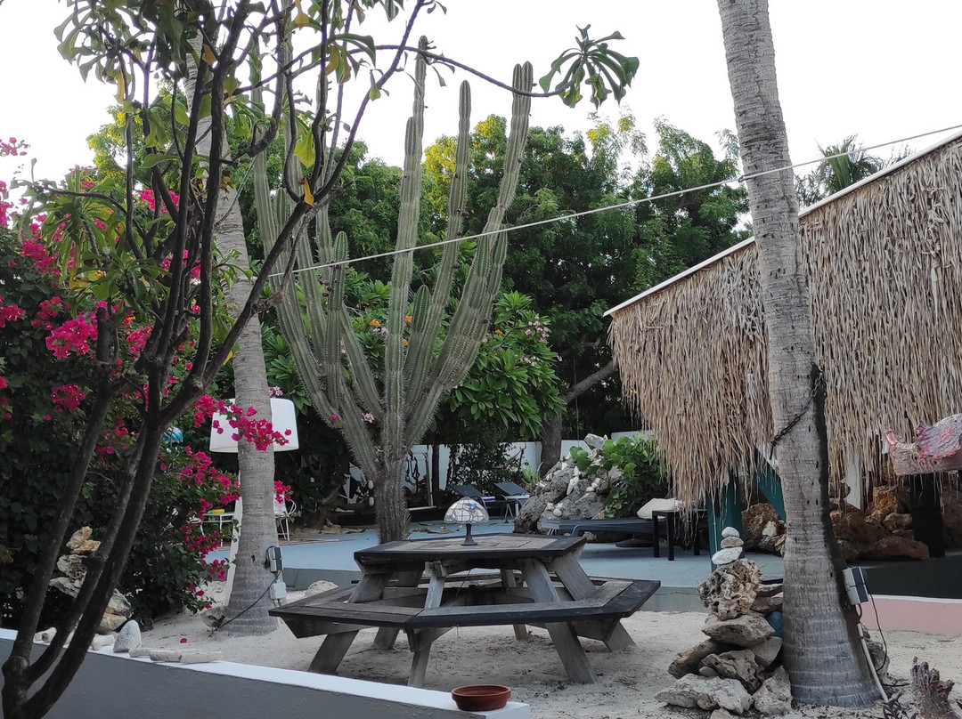 Thuishaven Boutique Mini-Resort主图