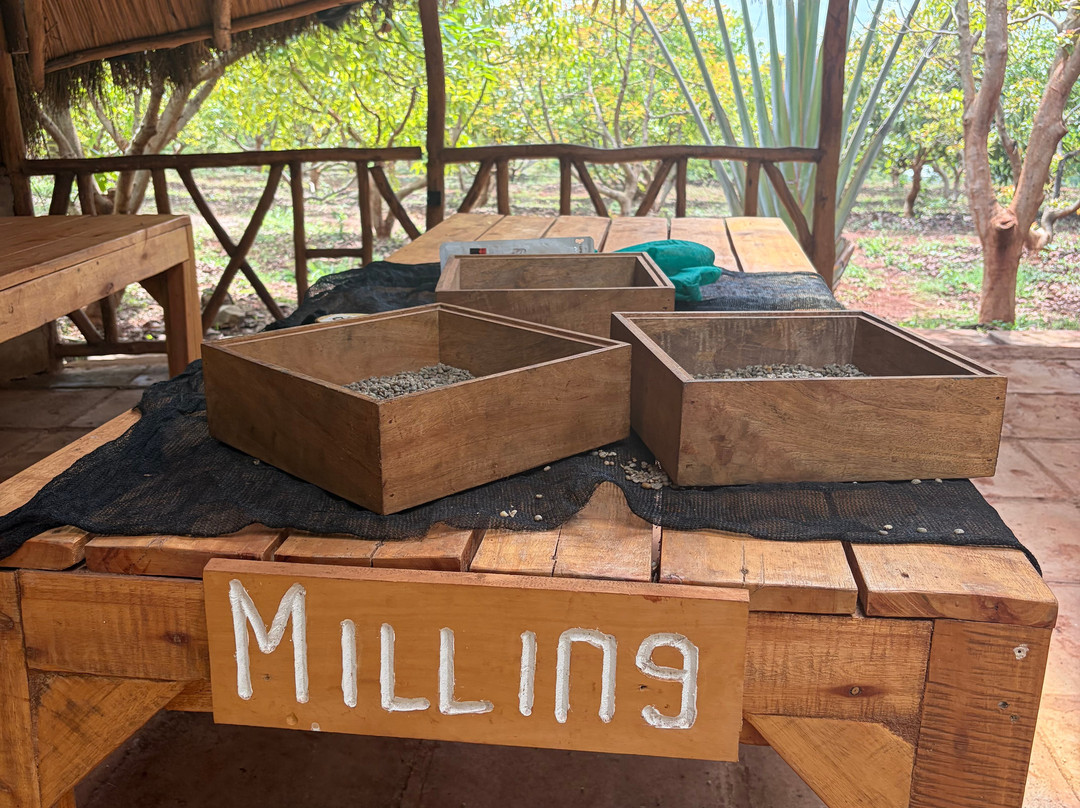 Guka's Coffee Tour-Muranga必去景点