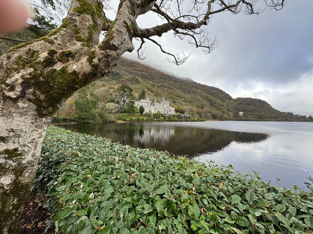 Gregan Tours Ireland-基尔代尔必去景点