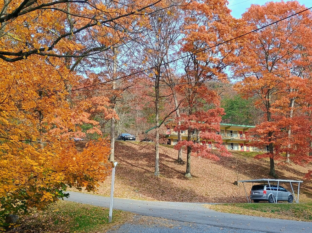 Koolwink Motel主图