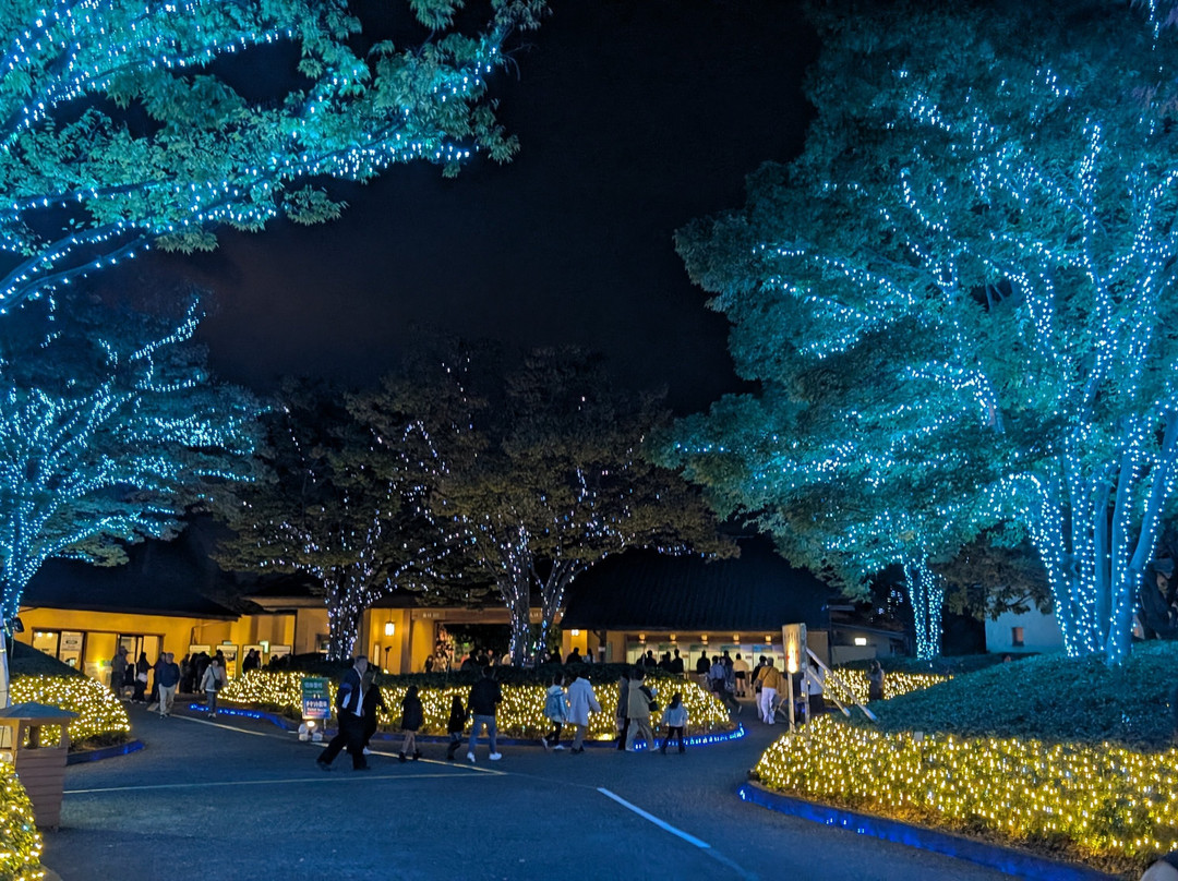 名花之乡-桑名市必去景点