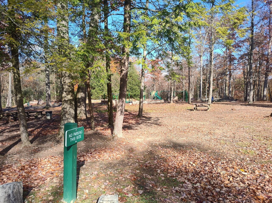 Coopers Rock State Forest-Bruceton Mills必去景点