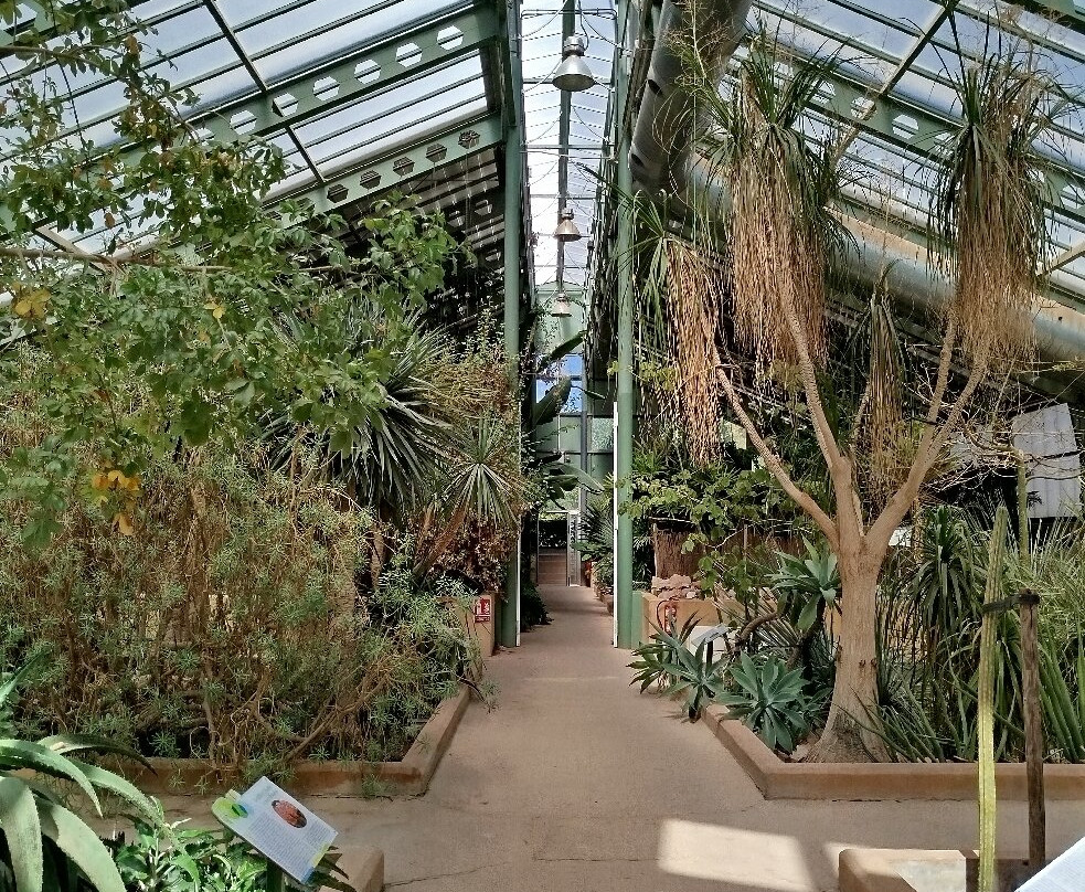 Jardin Botanico de Castilla-La Mancha-阿尔瓦塞特必去景点