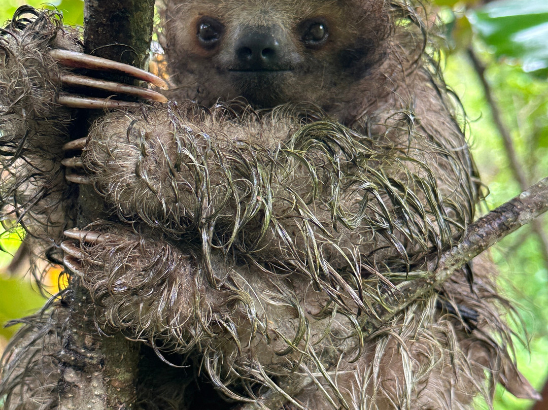 Costa Rica EZ Travel Adventures-Playa Flamingo必去景点