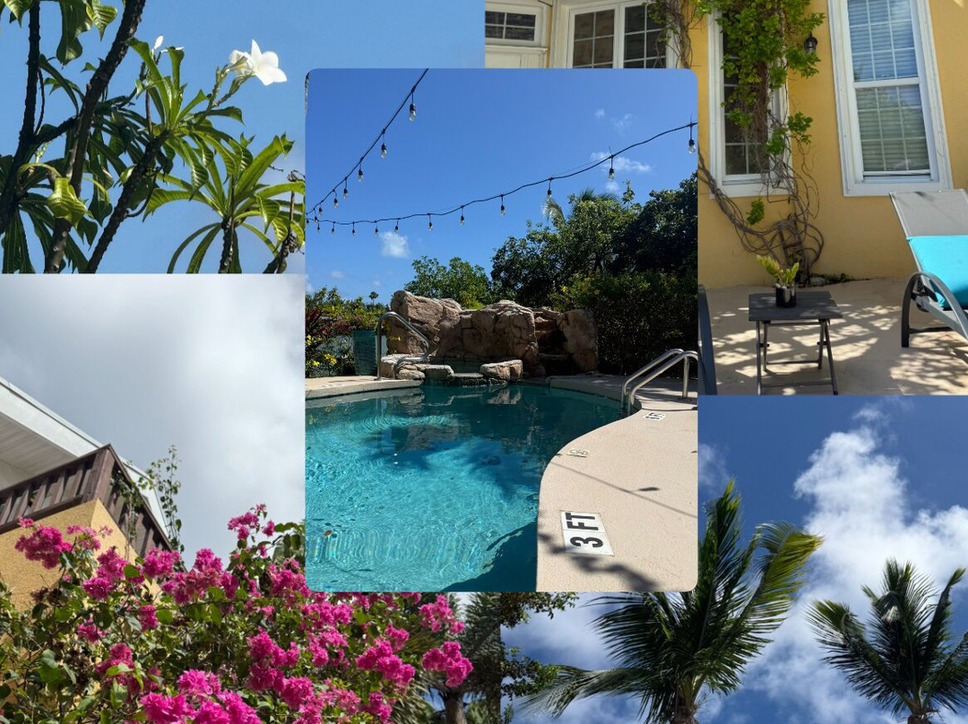 Shangri-La Bed & Breakfast主图