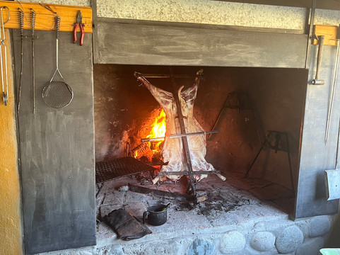 Dinosaur Trips-卡尔加里必去景点