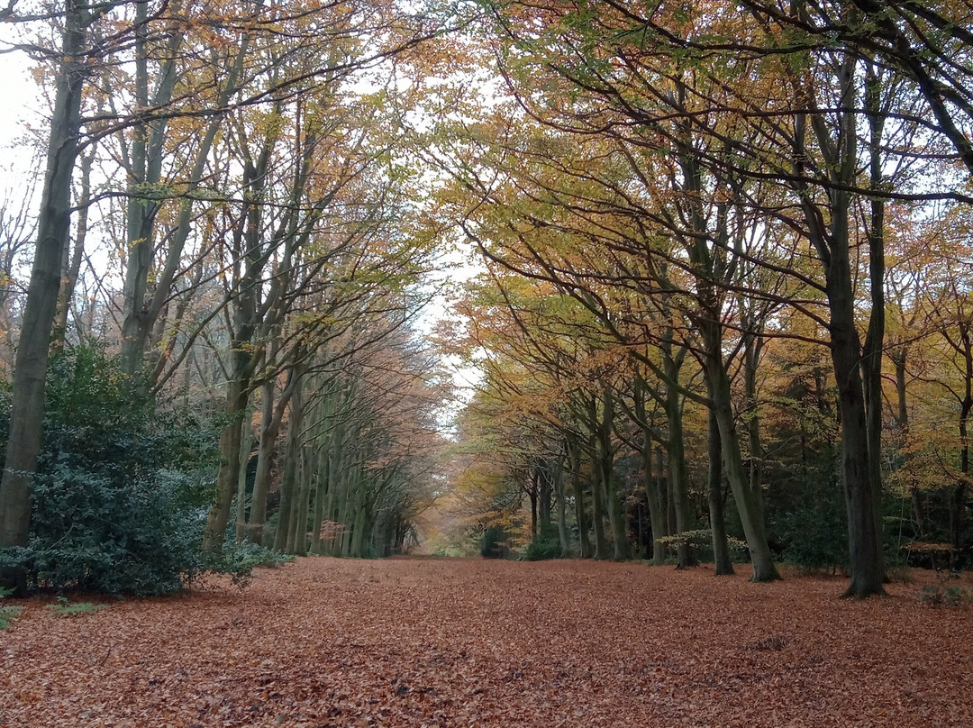 Felbrigg Hall-诺威奇必去景点