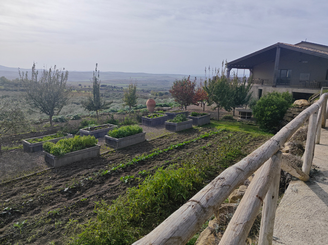 Olianas-Gergei必去景点