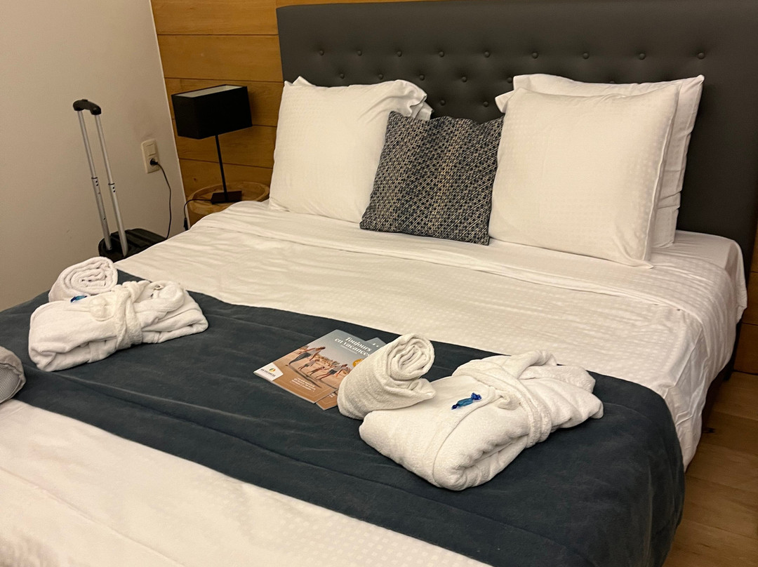 Domein Dennenheuvel主图