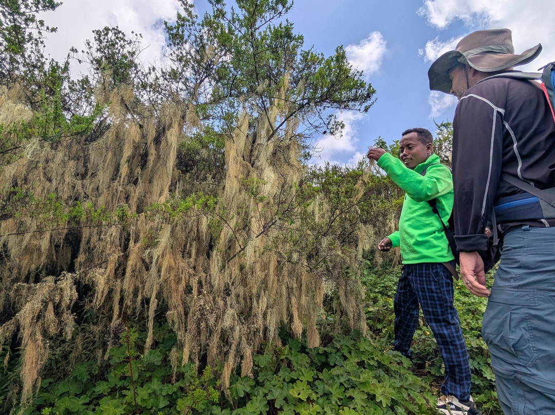 Simien Mountain Guides-Debark必去景点