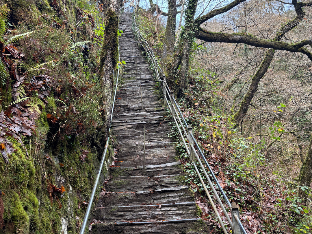 Devil's Bridge Waterfalls-Devil's Bridge (Pontarfynach)必去景点