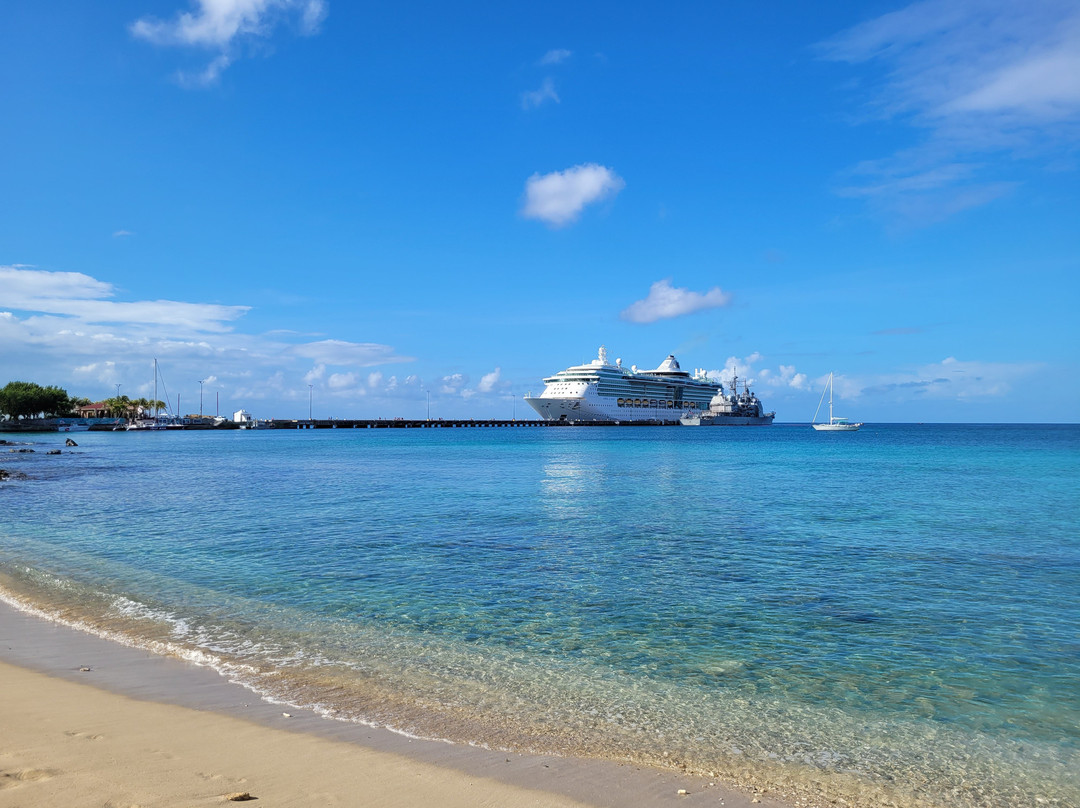 Virgin Islands Ecotours-圣 托马斯必去景点