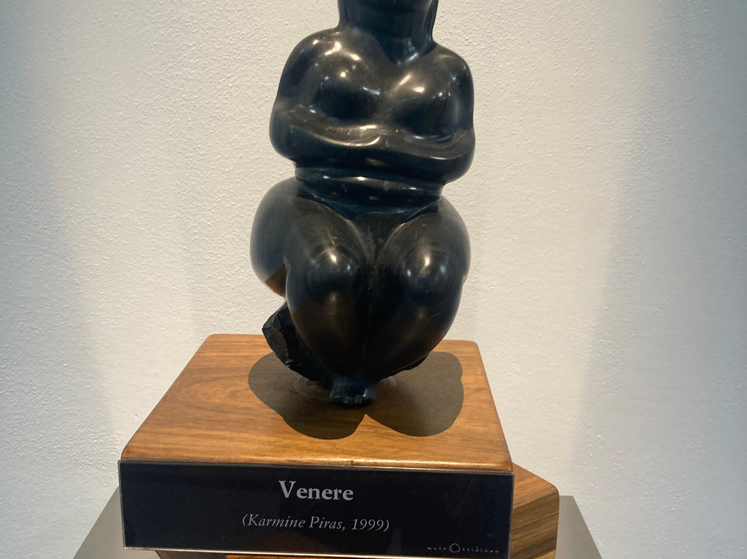 Museo dell'Ossidiana-Pau必去景点