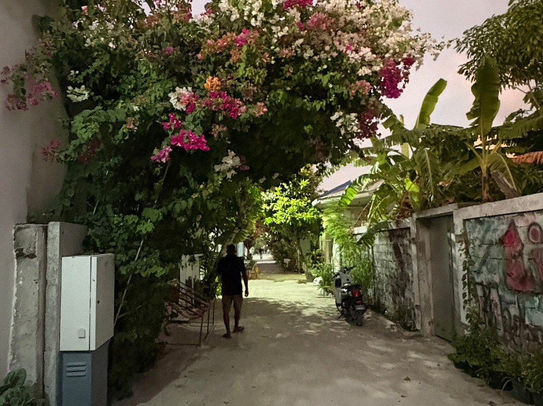 DivePoint Guraidhoo-康杜玛岛必去景点