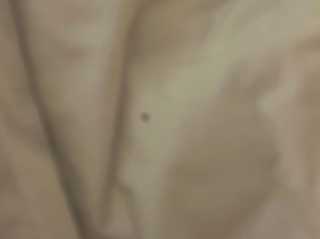 克莱蒙费尔菲尔德客栈&套房酒店主图