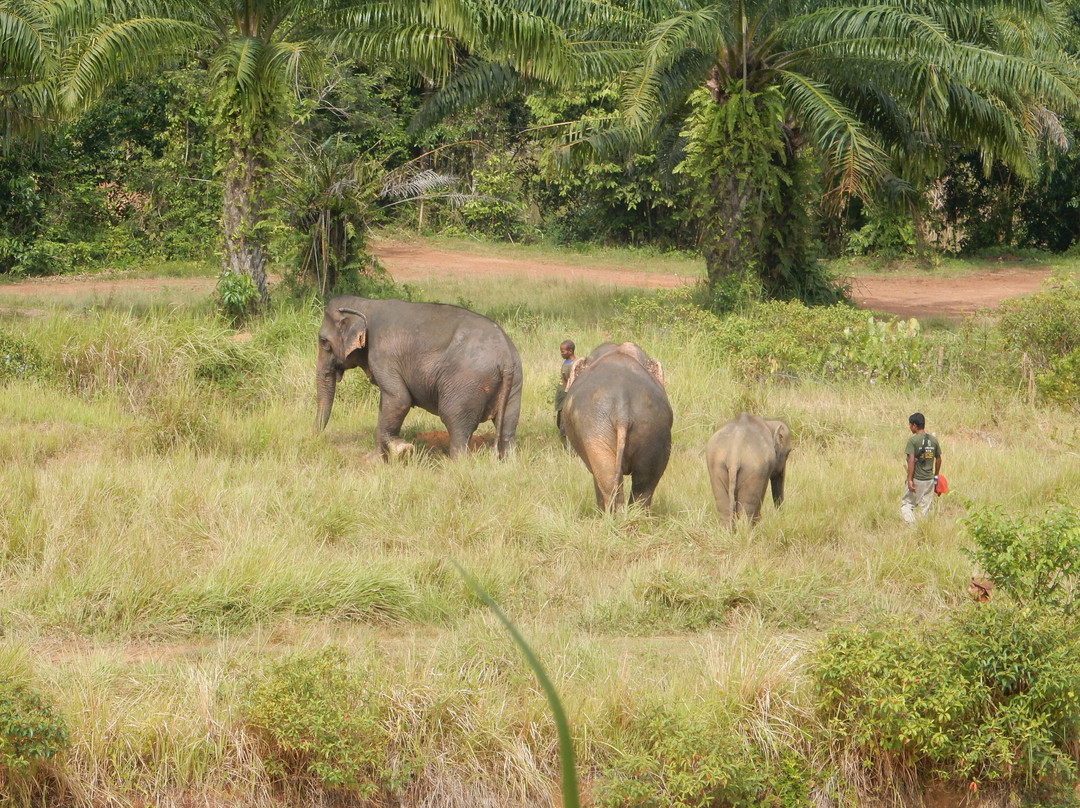 Following Giants - Krabi-Khlong Hin必去景点