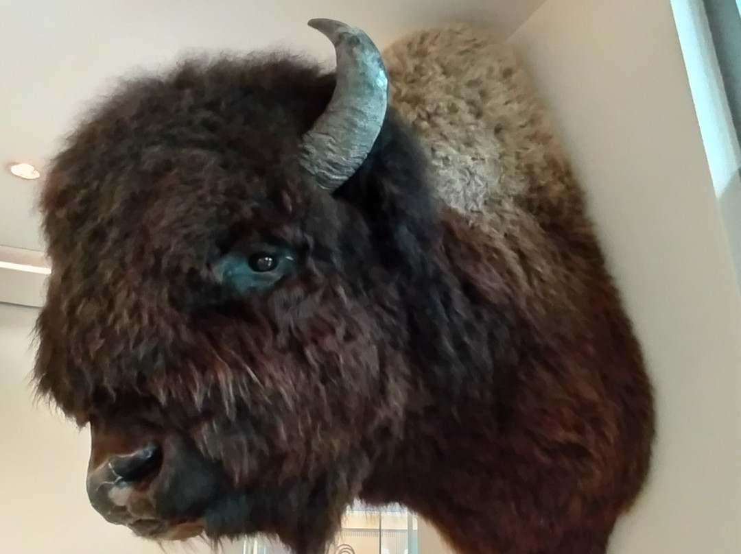 The Legislative Assembly Building-黄刀镇必去景点