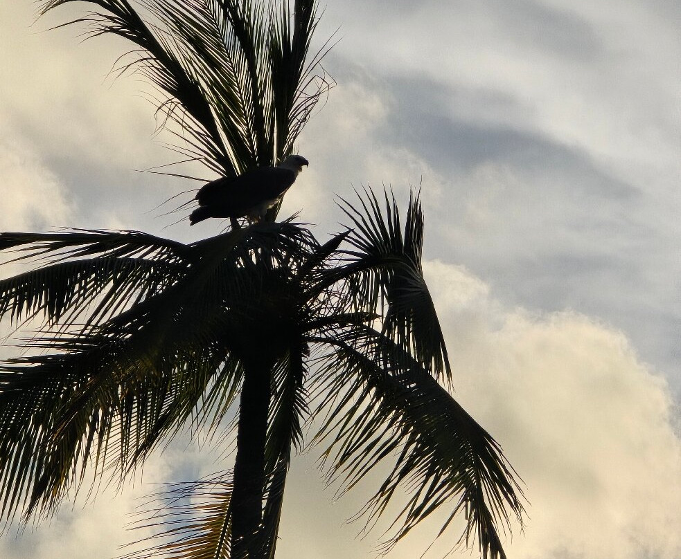 Mirissa Eco Lagoon Safari-美蕊沙必去景点