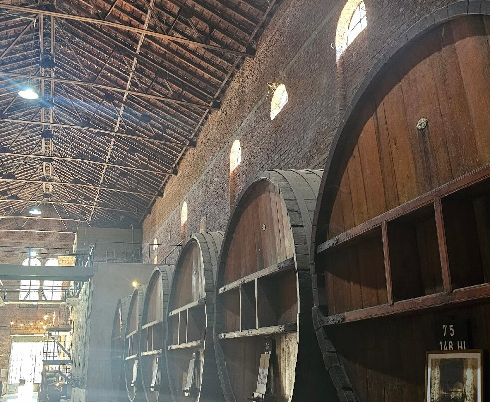 Bodega la Caroyense-Colonia Caroya必去景点