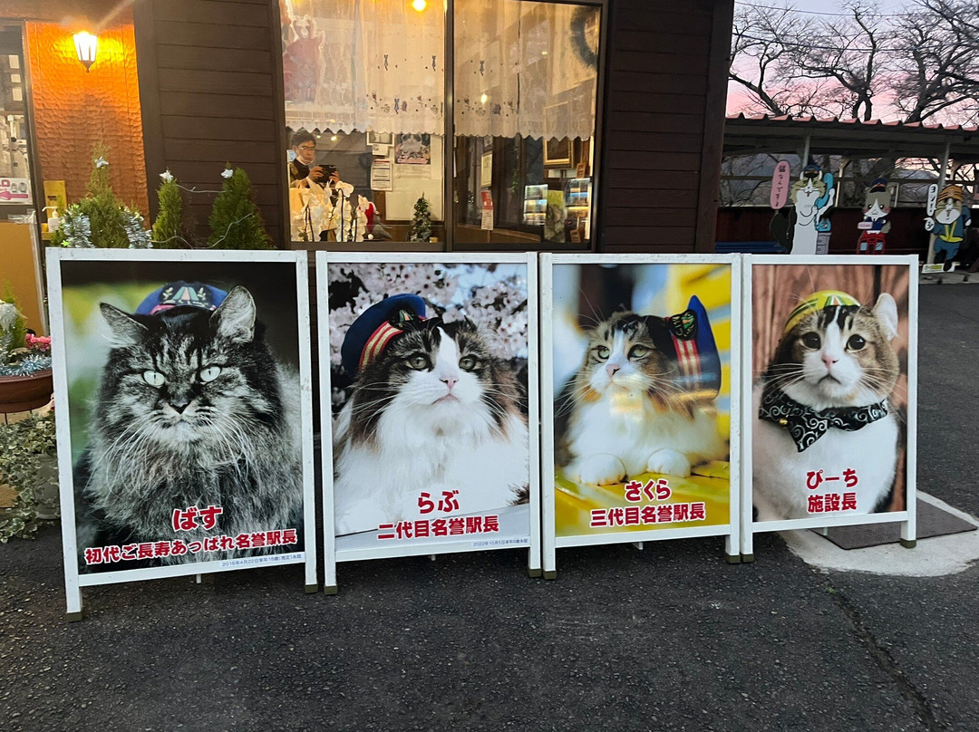 Ashinomaki Onsen Station-会津若松市必去景点