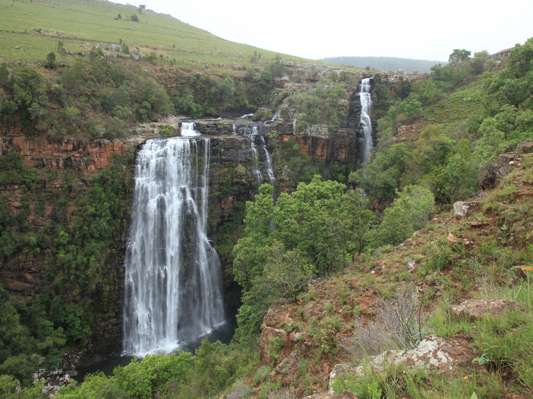 Endless Summer Tours-德班必去景点