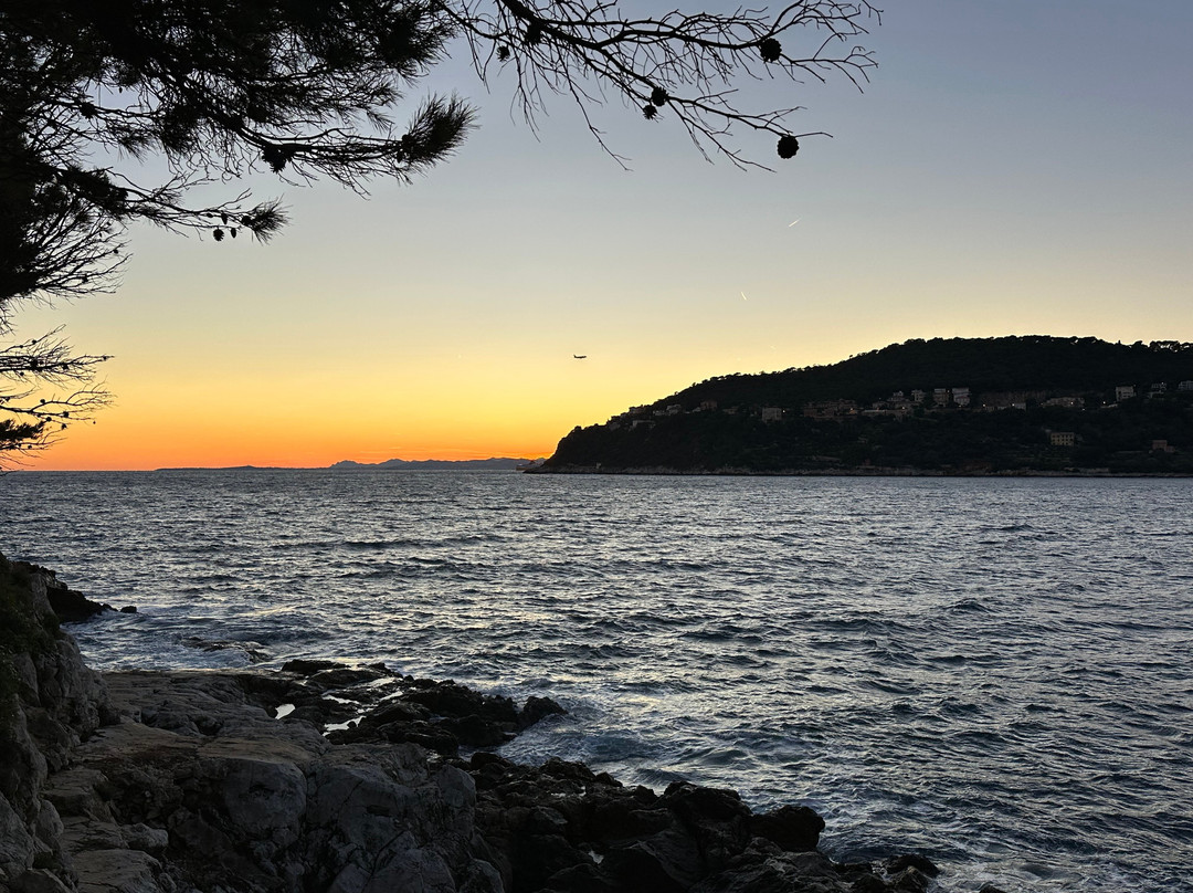 Sentier Du Littoral-尼斯必去景点