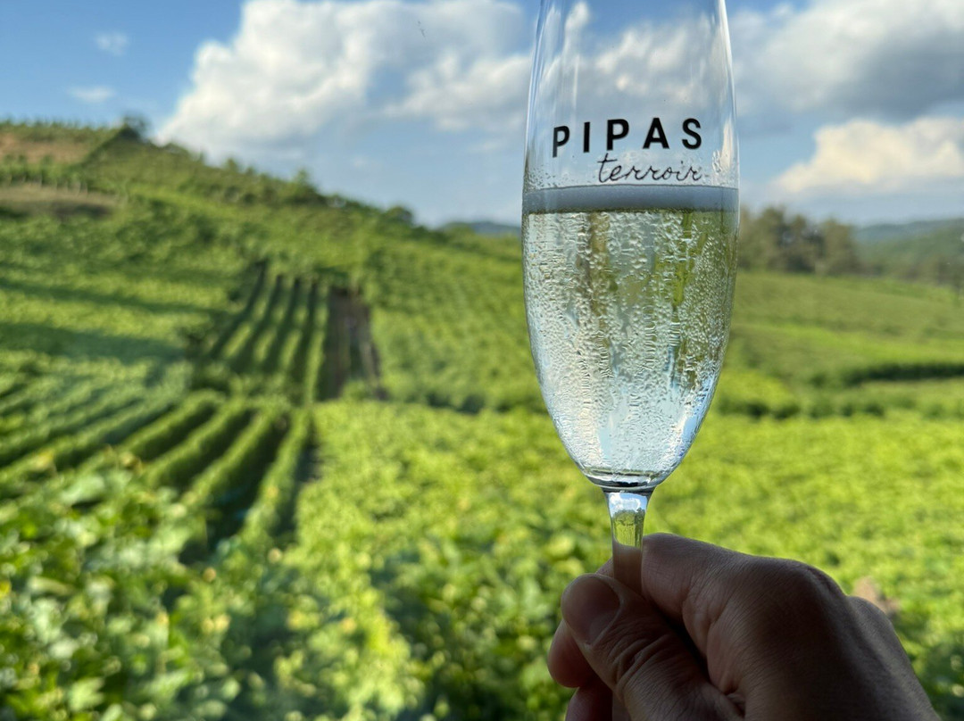 Pipas Terroir Pousada主图