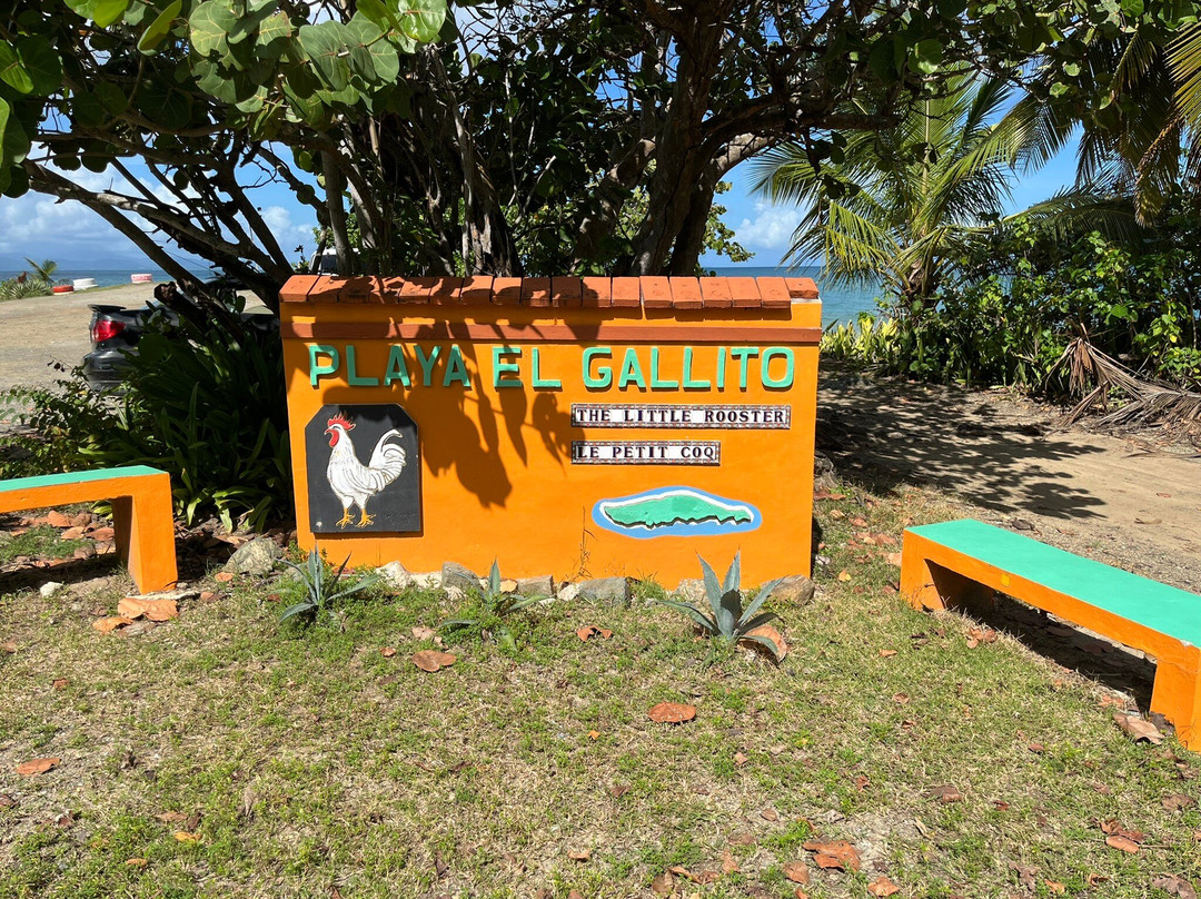 El Gallito Beach-维切克岛必去景点