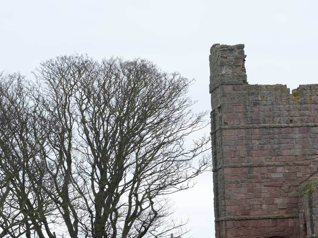 Holy Island Hikes-Holy Island必去景点