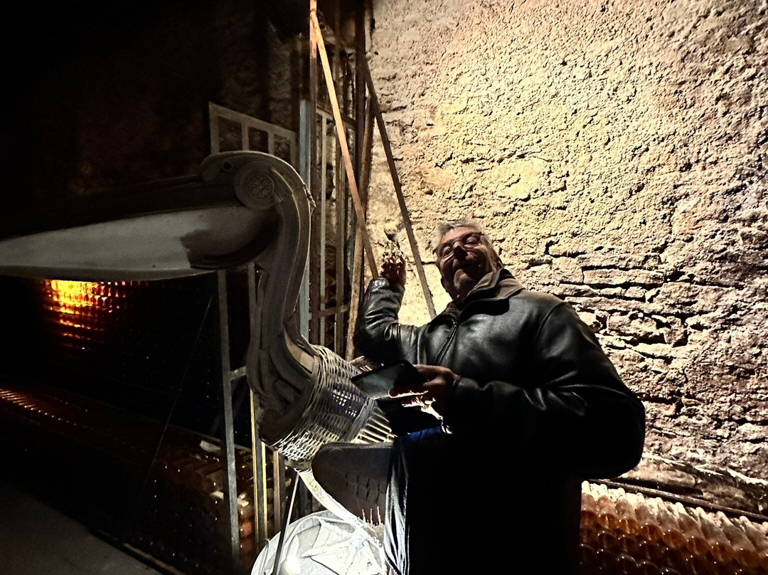 Domaine Albert Seltz-米特贝汉必去景点