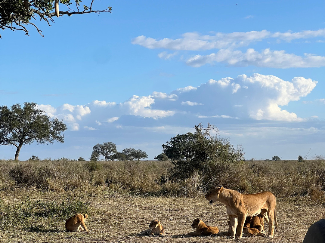 Tanzania Wildheart Adventures-阿鲁沙必去景点