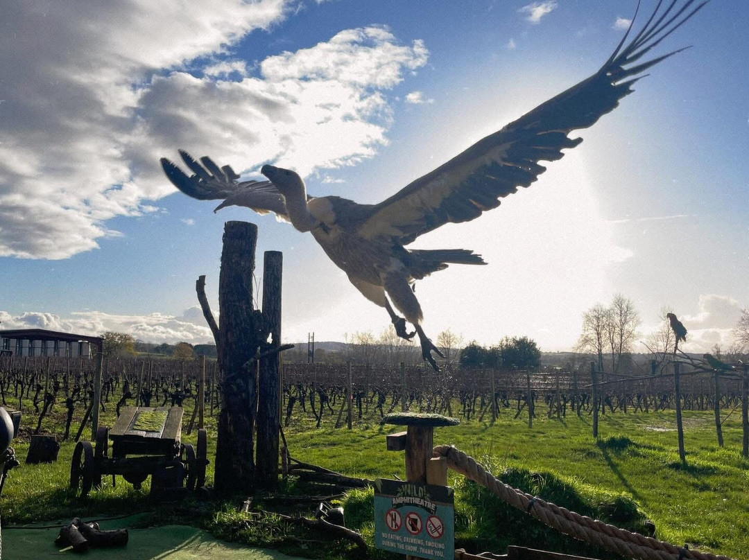 Wild Zoological Park-Bobbington必去景点