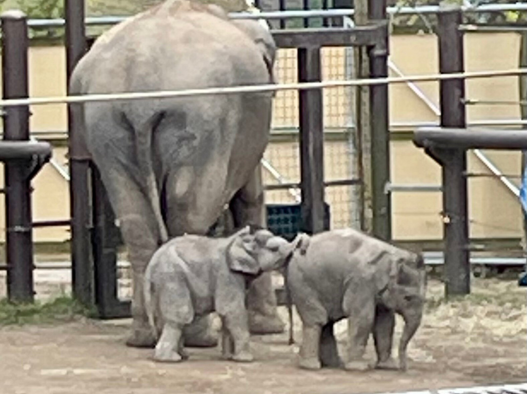 哥伦布动物园-Powell必去景点