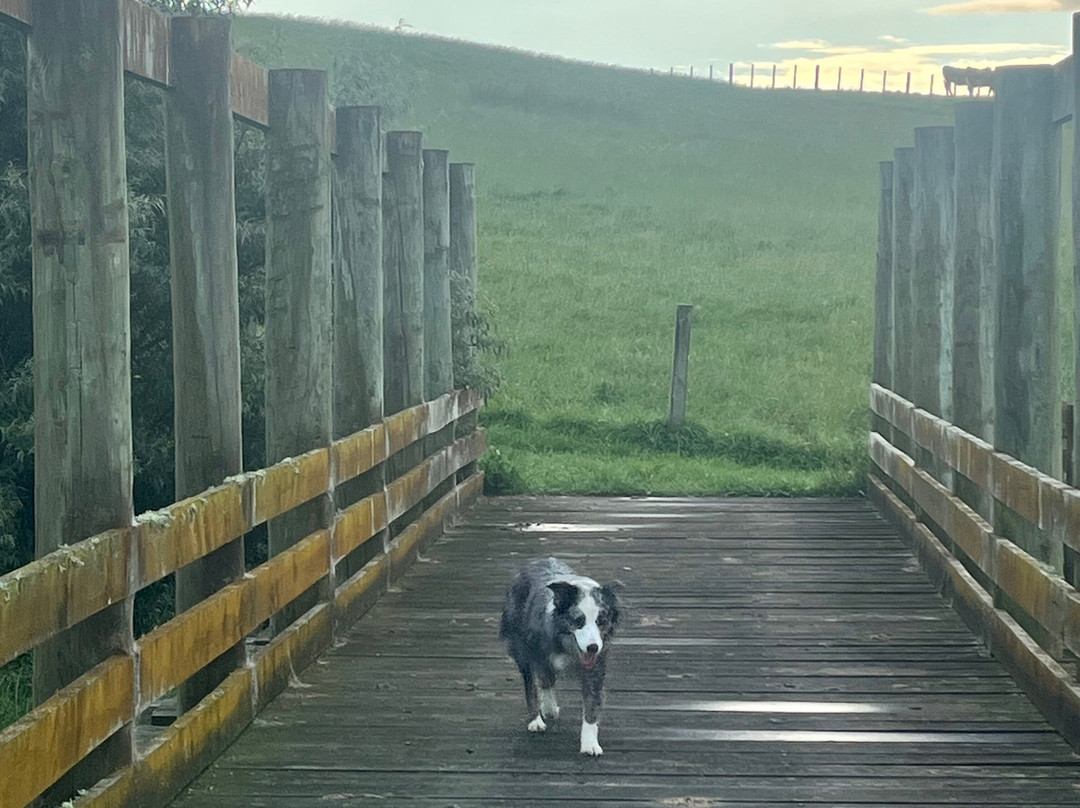 Dudding Lake-Marton必去景点