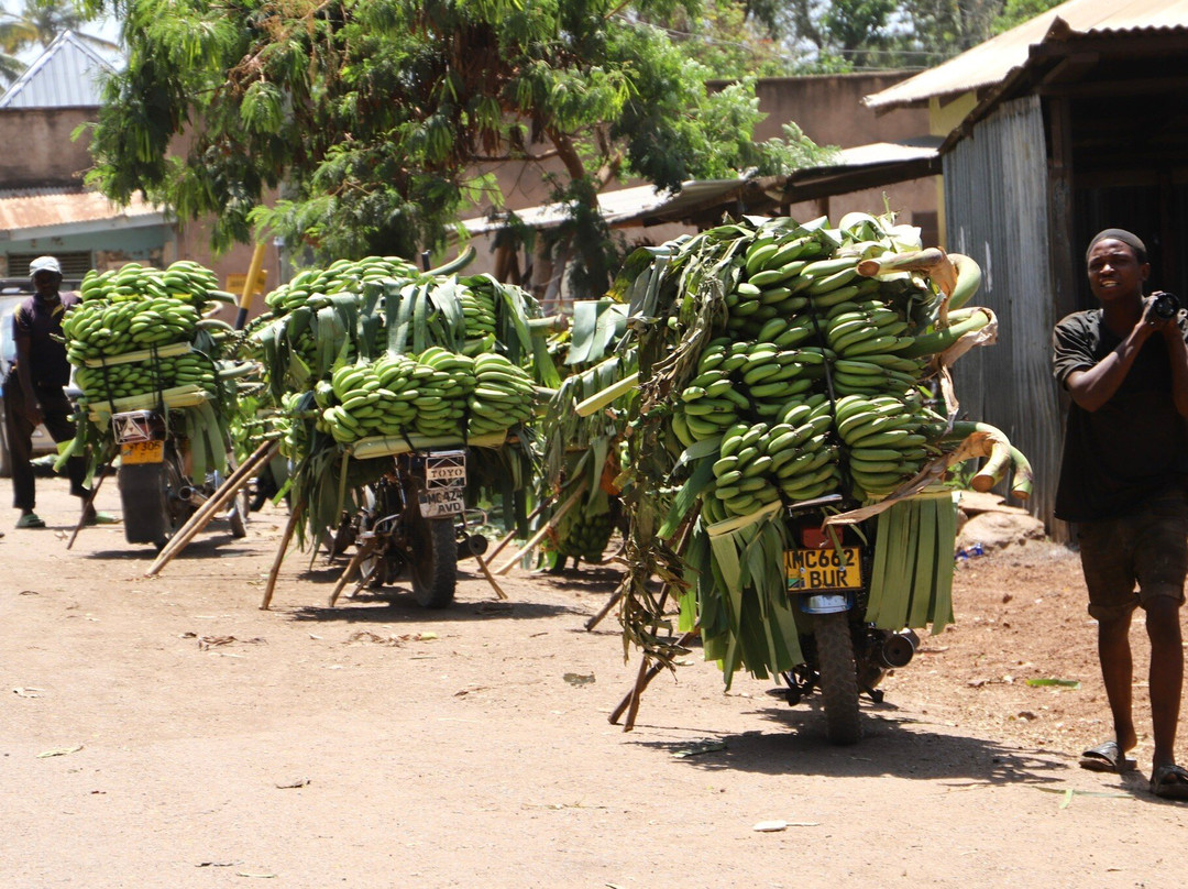 Mtoni Cultural Tour-Mto wa Mbu必去景点