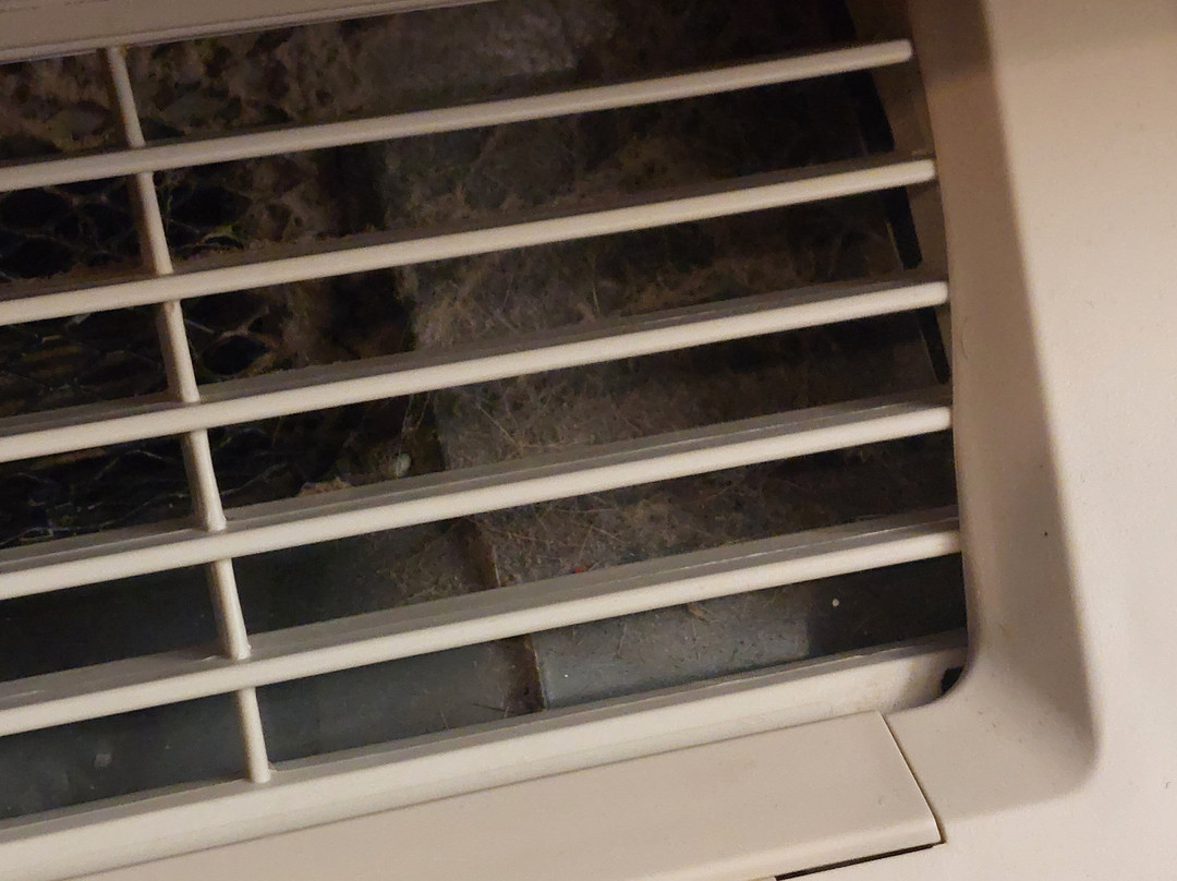 Quality Inn & Suites主图