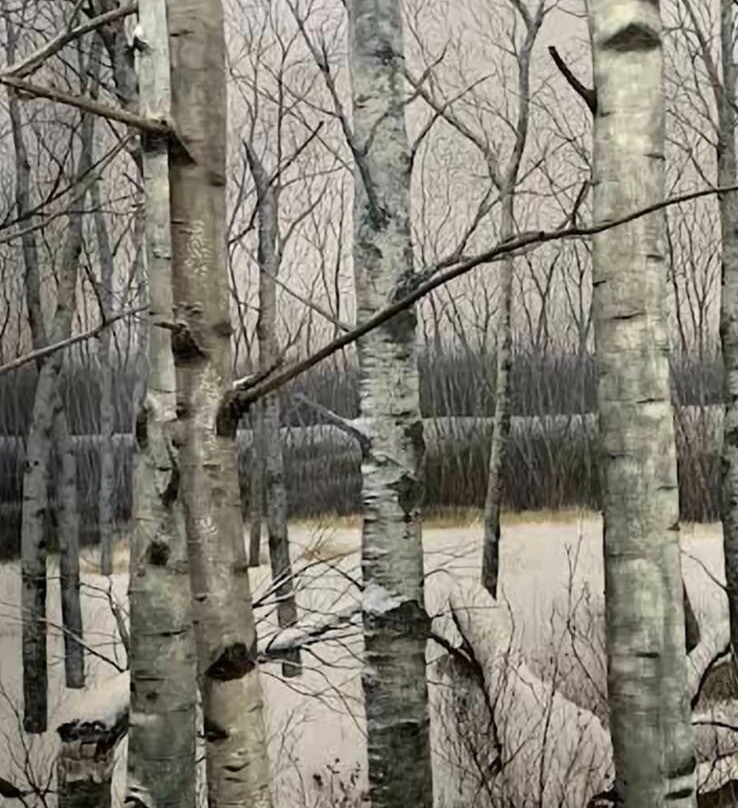 Royal Saskatchewan Museum-里贾纳必去景点