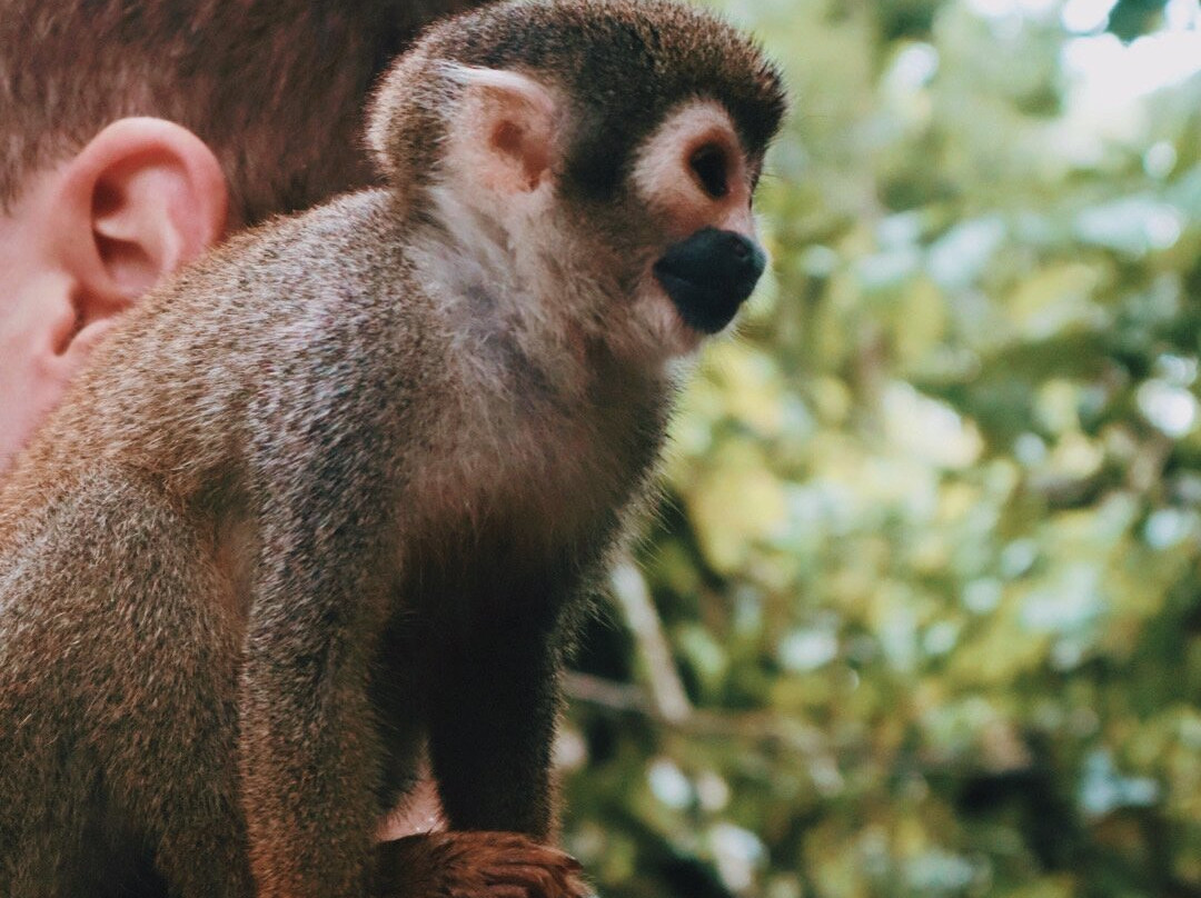 Amazonas Go - Numae Experience-莱蒂西亚必去景点